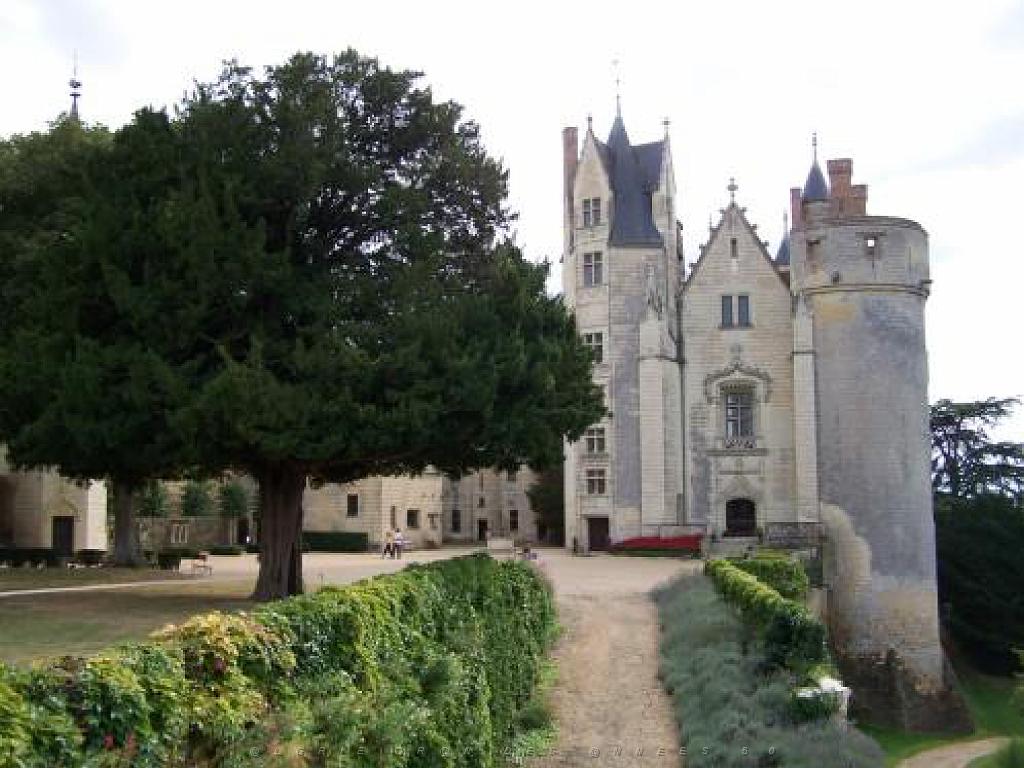 149 CHATEAU DE MONTREUIL BELLAY MAINE ET LOIRE 2016_000060.jpg